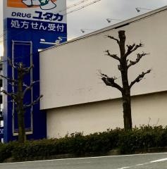 ドラッグユタカくずは店
