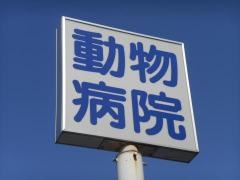 ごせ動物病院