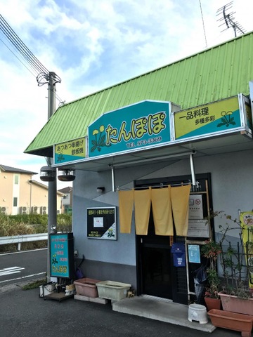 たんぽぽ 夏のたんぽぽ | よっし～の写真日記帳