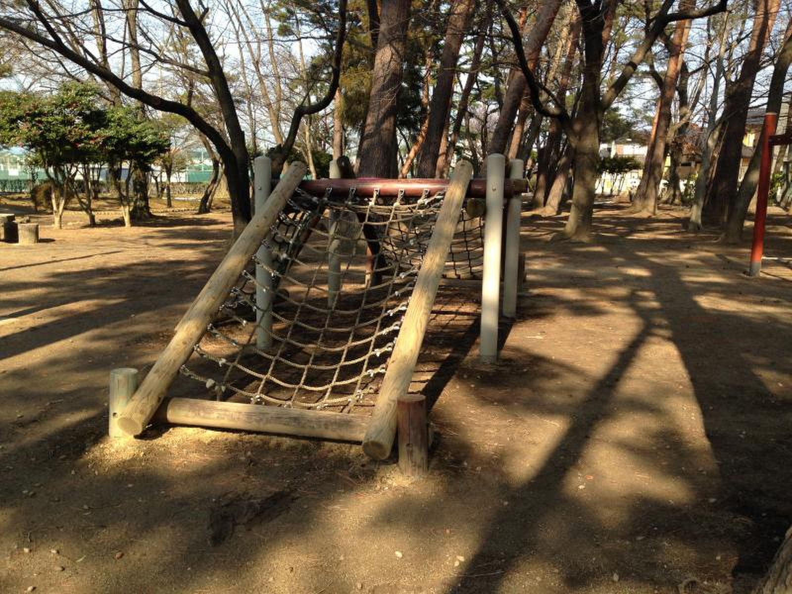 郡山市西部公園の現在！遊具や駐車場混雑と予約の盲点をプロが徹底解説