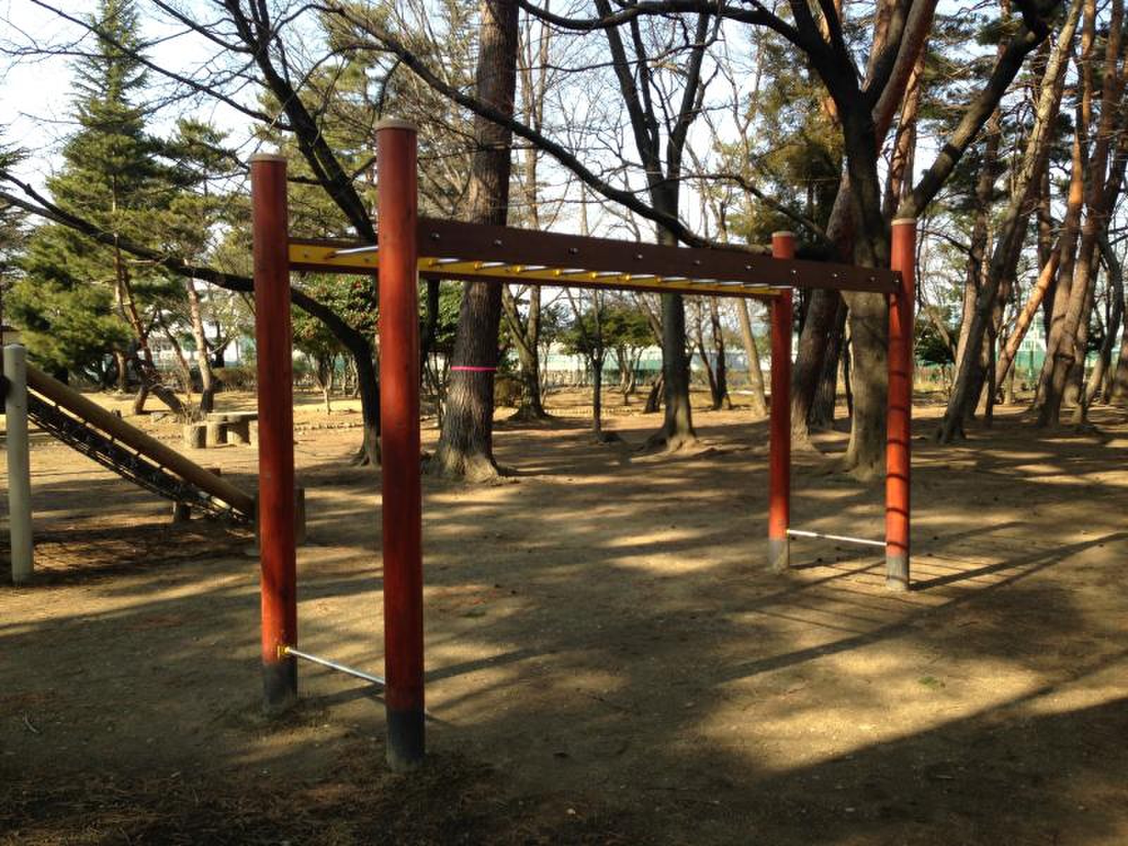 郡山 市 西部 公園