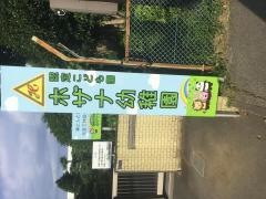 ホザナ幼稚園