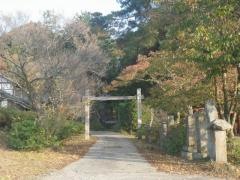 善導寺