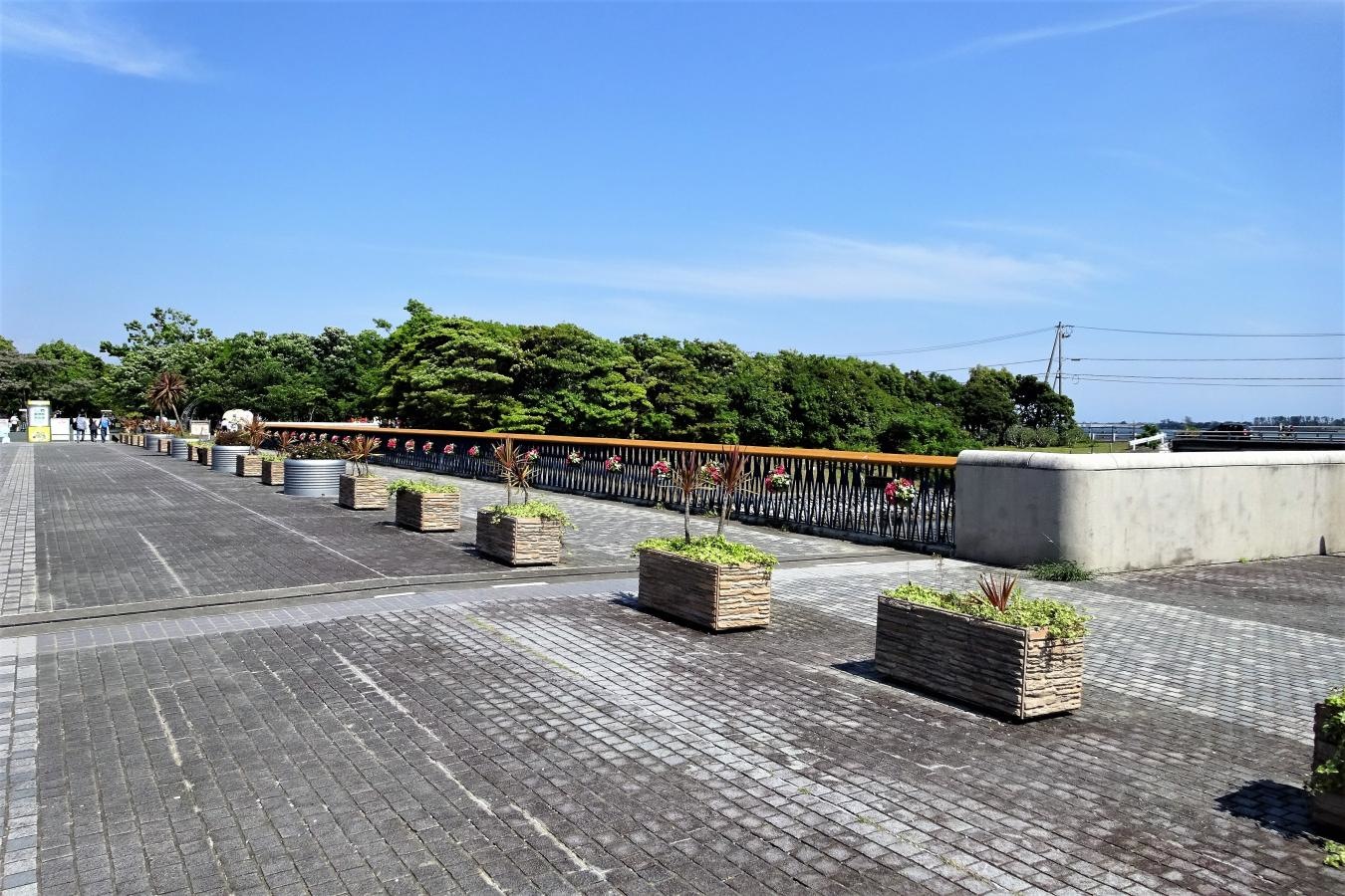 南えぼ橋