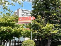 聖心幼稚園