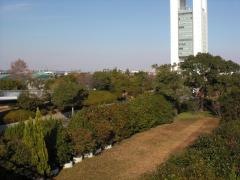 霞ケ浦緑地公園