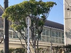 久留米市立牟田山中学校