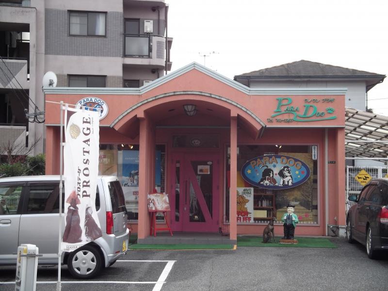 ワンワンプラザパラドッグ