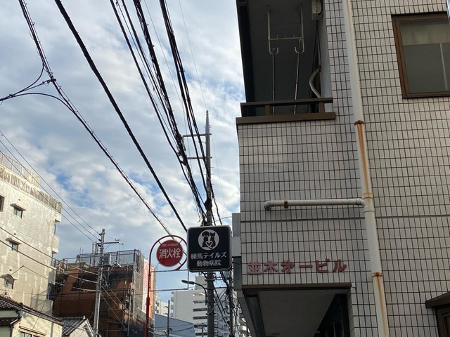 投稿写真7