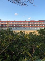 大槻小学校
