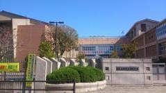 新和小学校