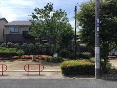 つばき緑地