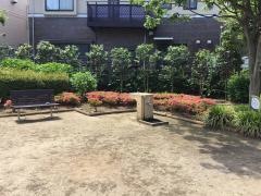 つばき緑地