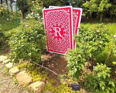 旅探 たびたん 花と緑のふれあいセンター 旅探 たびたん 花と緑のふれあいセンター