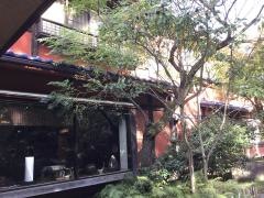 湯宿梅ぞ乃
