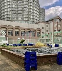 扇町小学校