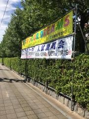 向陽高等学校
