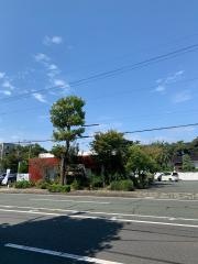 にんじんパパ