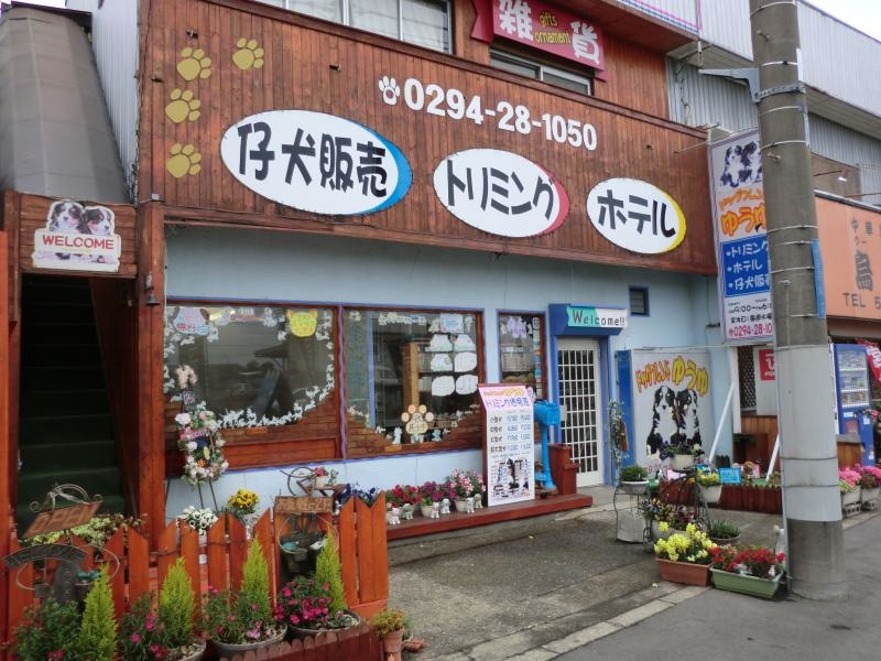 建物