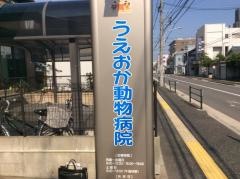 うえおか動物病院