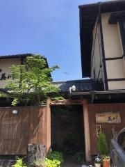 旬菜茶房美川