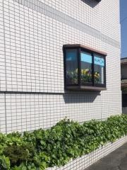 公文式清水教室