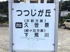「つつじが丘」バス停留所