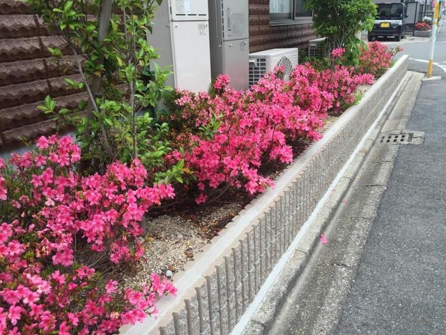 リーバルバンシエール中川 ガーデニング