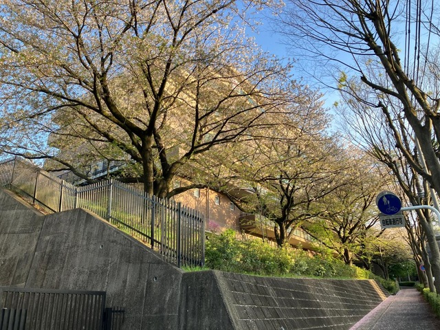 すいとぴー東戸塚