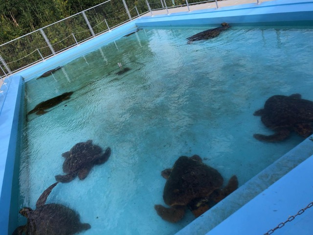 むろと廃校水族館駅