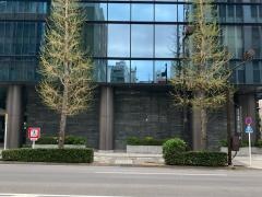 株式会社ネットスターズ