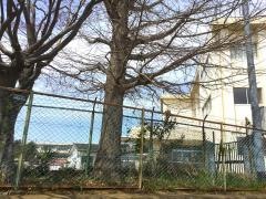 寺原小学校