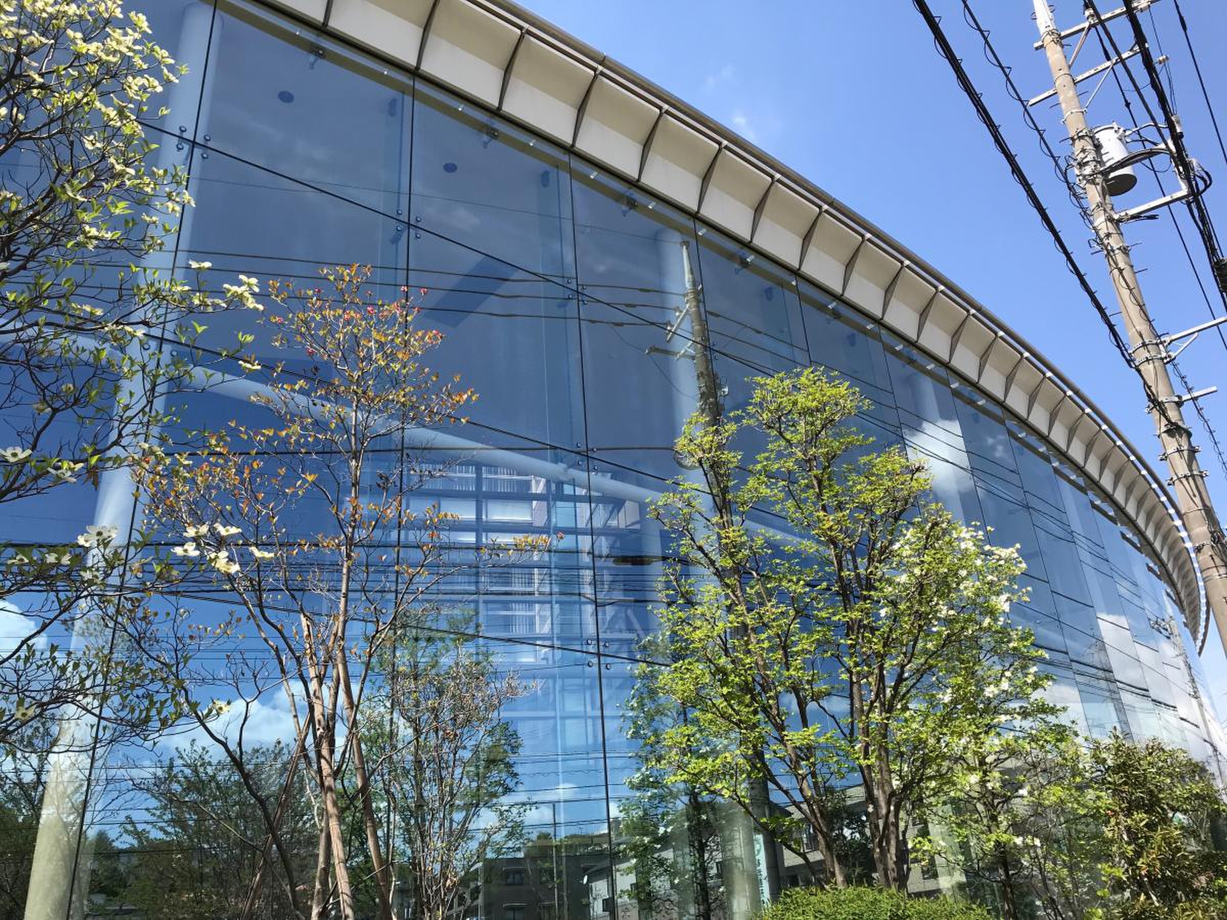 公の場での発言・インタビュー報道記録