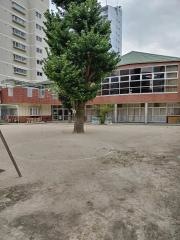 名古屋柳城短期大学附属柳城幼稚園