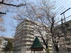 名古屋柳城短期大学附属柳城幼稚園