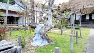 医王寺