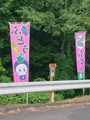 青蓮寺湖畔観光農園