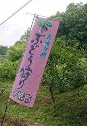青蓮寺湖畔観光農園