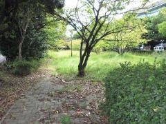 多の津7号緑地