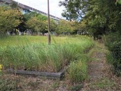 多の津7号緑地