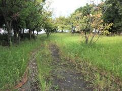 多の津7号緑地