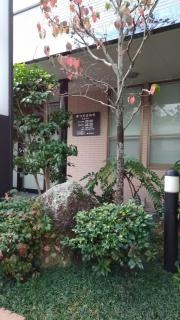 つのお内科