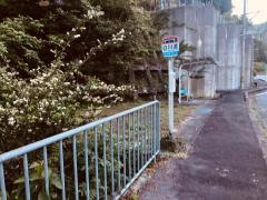 「白川渡」バス停留所