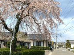 柳生寺