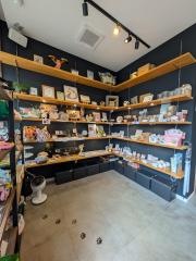 かぎのしっぽ　ＳＡＫＵＲＡＺＡＫＡ　ｃａｆｅ