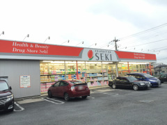 ドラッグストアセキ武里店