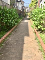 釜田緑地