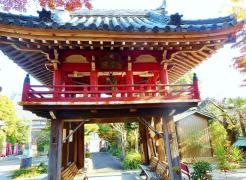 遍照院