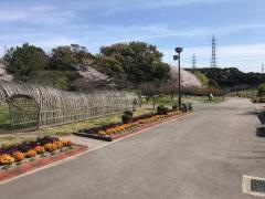 佐布里緑と花のふれあい公園