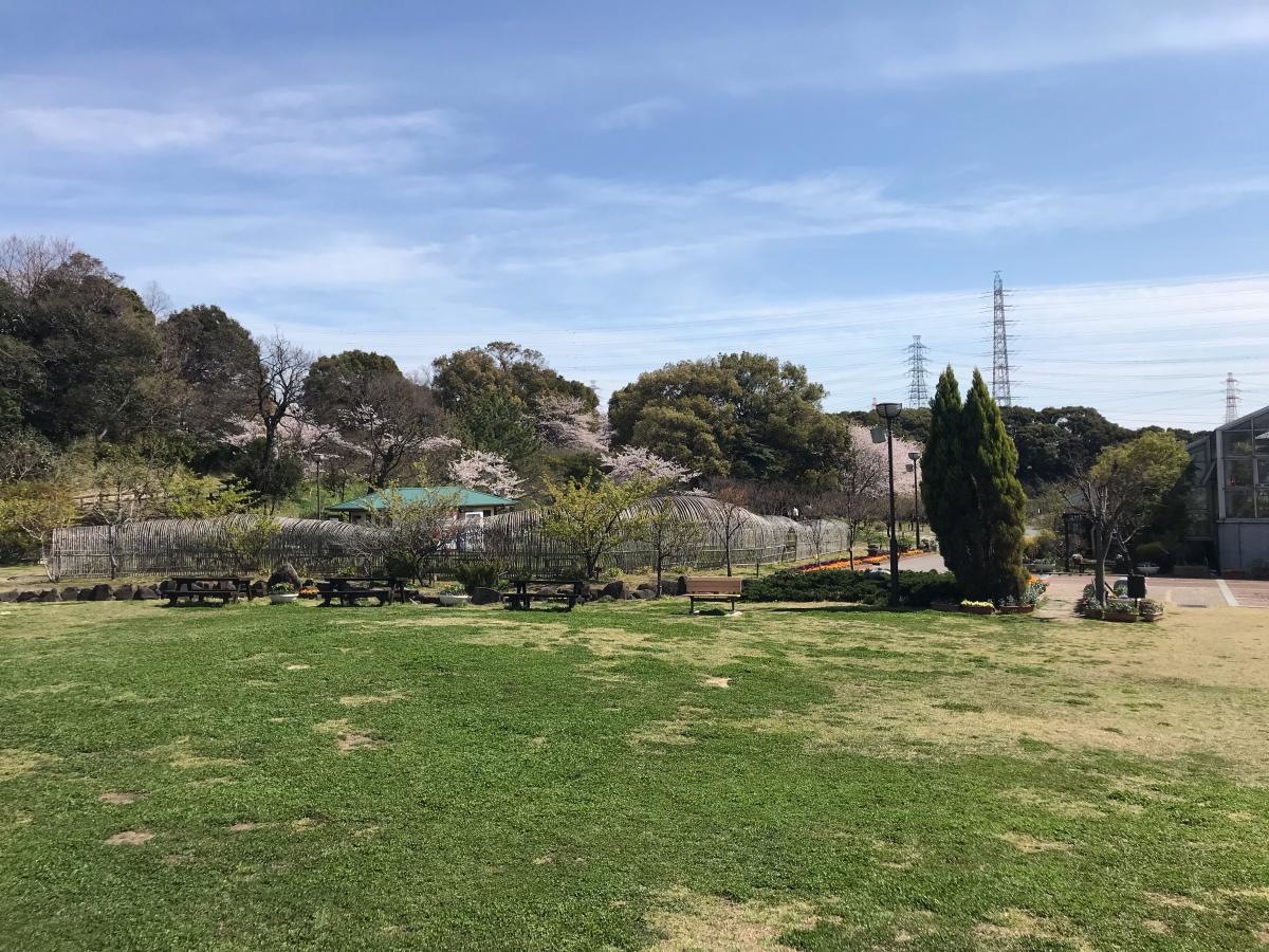 公園外観